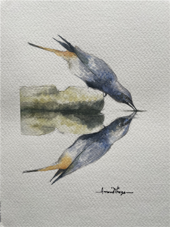 L’écho du silence