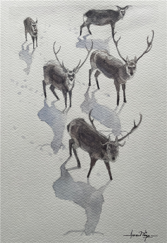 Les veilleurs du givre